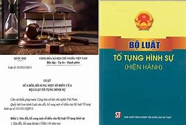 Bộ Luật Hình Sự Qua Các Năm