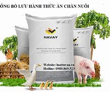 Cty Thức Ăn Chăn Nuôi Hoàng Gia Việt