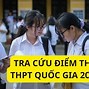 Vietnam Net Tra Cứu Điểm Thi Thpt 2024 Tphcm